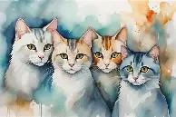 金年会官网- 萨克拉门托吸血鬼 